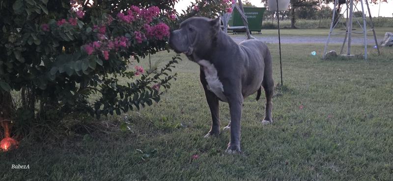 Reminding me to stop and smell the flowers!