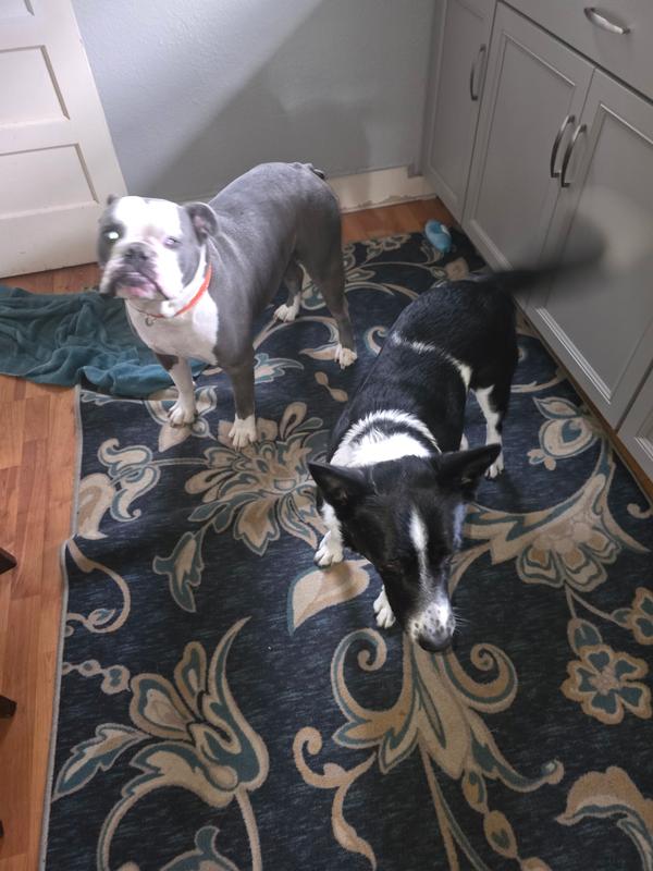 So happy for Diamond