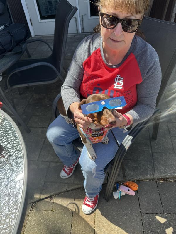 Sunglasses on ready to watch Eclipse