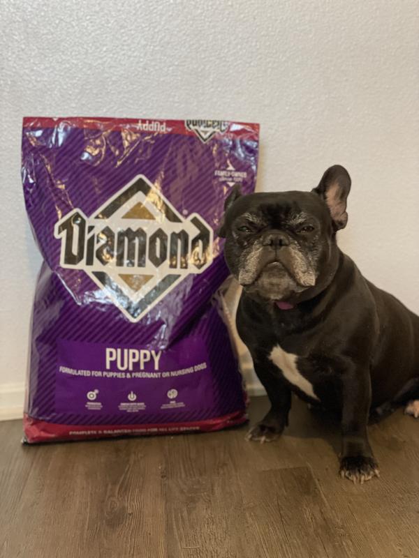 Diamond Puppy Dog Food Pet Supplies Plus