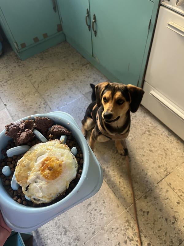 Chuchy’s breakfast: Diamond, egg and meat