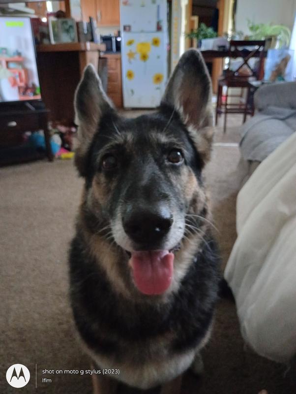 Look at me, I'm so cute 🥰