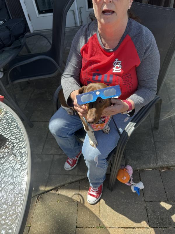 Watching the Solor eclipse