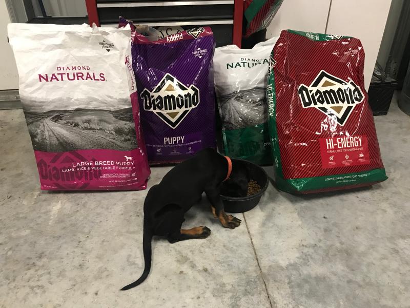 Diamond naturals high store energy dog food