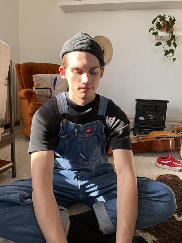 Dickies stonewashed 2025 bib overalls