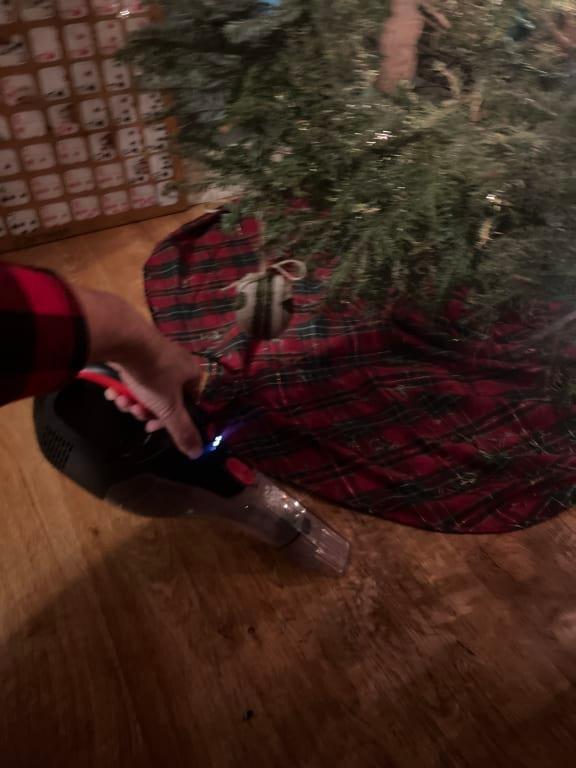 Great for under the Christmas tree