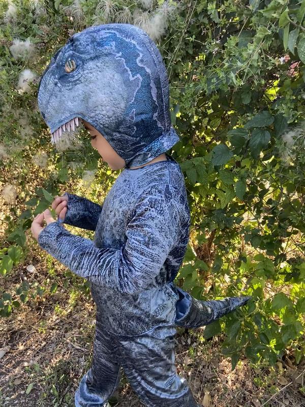 Disguise Kids Classic Jurassic World Blue Costume - Small at Lowes.com