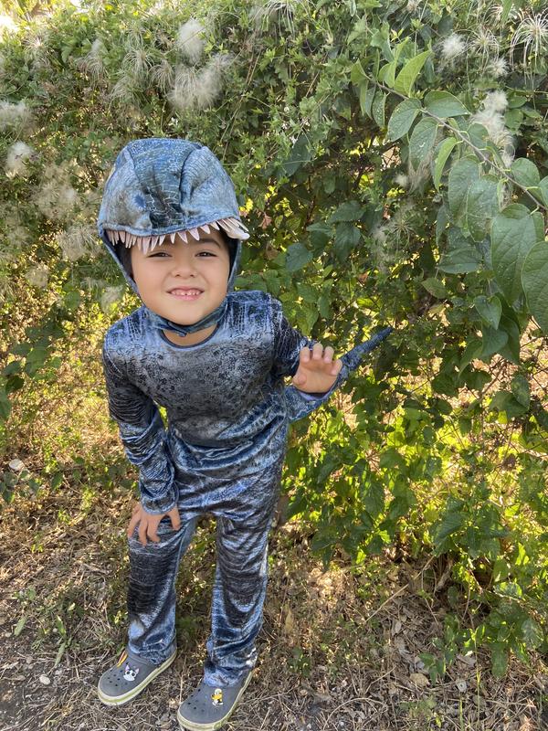 Disguise Kids Classic Jurassic World Blue Costume - Small at Lowes.com