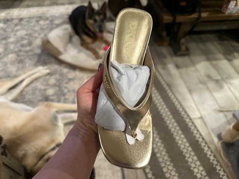 Photo from krysipex3_3566