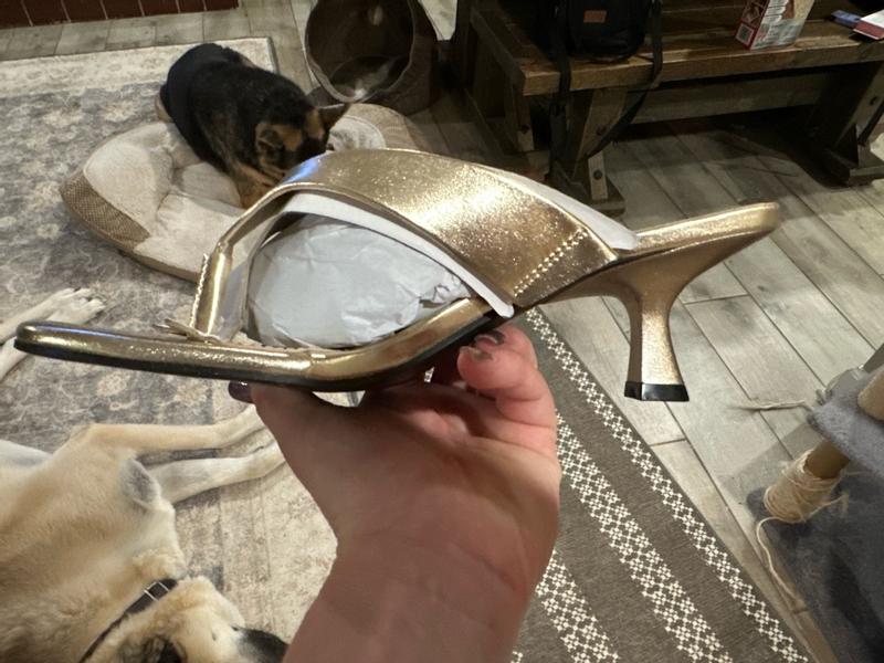 Photo from krysipex3_3566