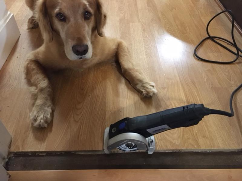 Laminate floor trimmed to supervisors satisfaction.