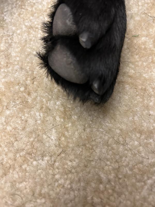 After Cutting the Nail