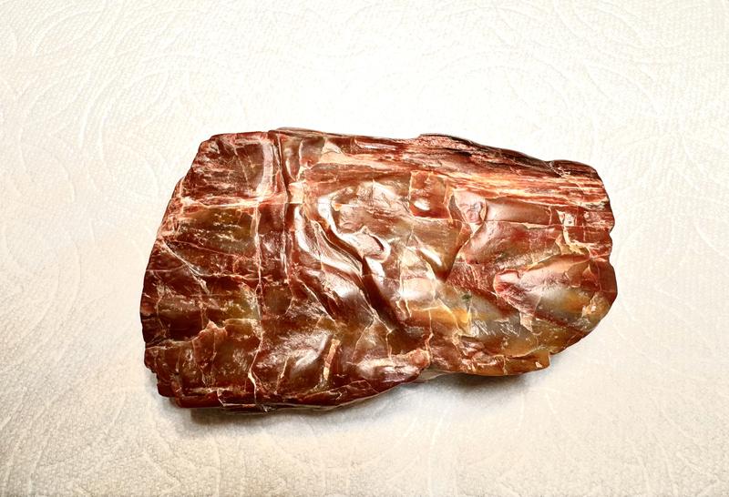 Petrified Wood After