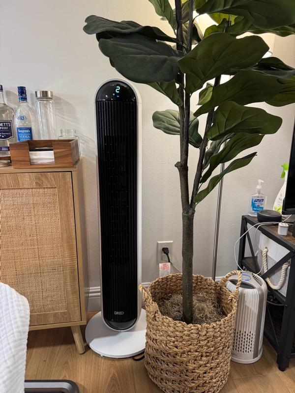 Photo - commentaire&nbsp;8.