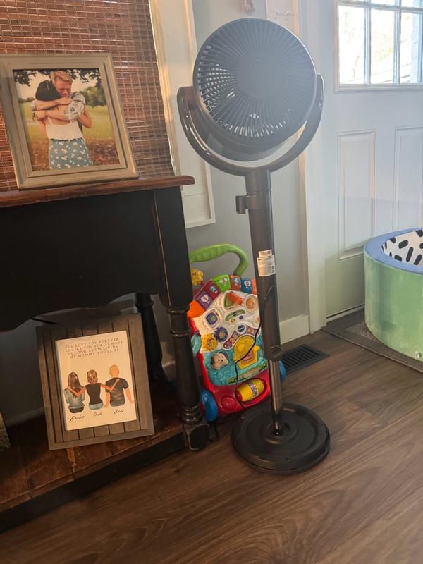 Photo - commentaire 8.