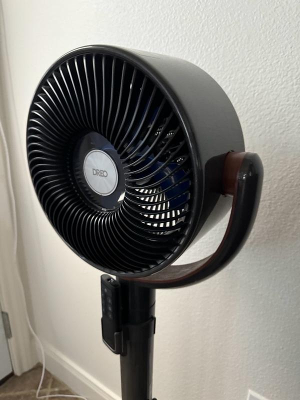 Photo - commentaire 5.