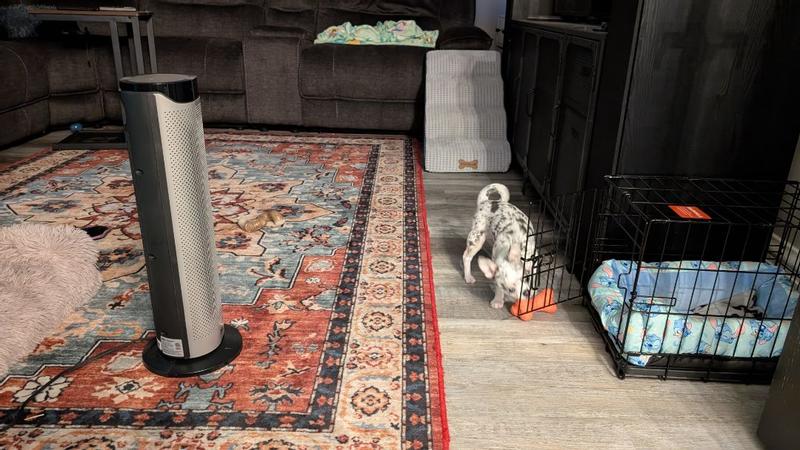 Photo - commentaire&nbsp;3.