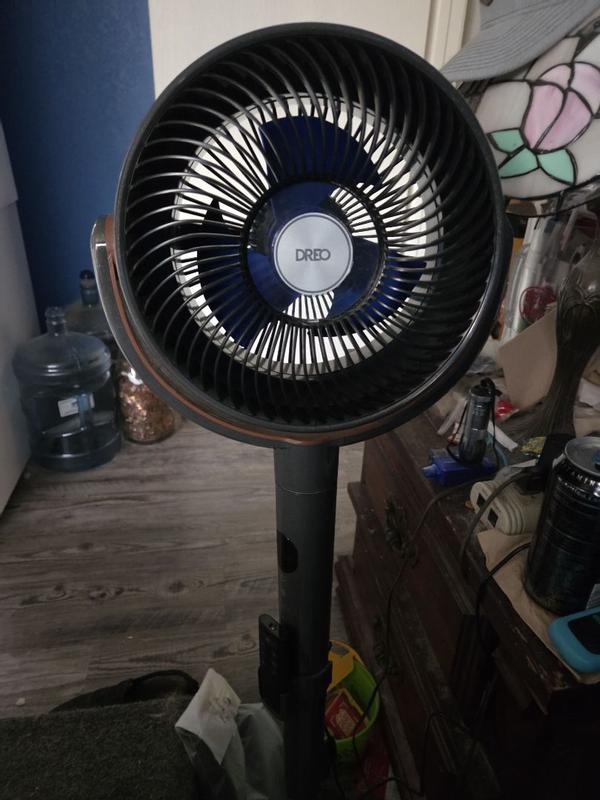 Photo - commentaire 7.