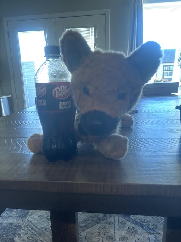 The zero sugar taste the same as the normal