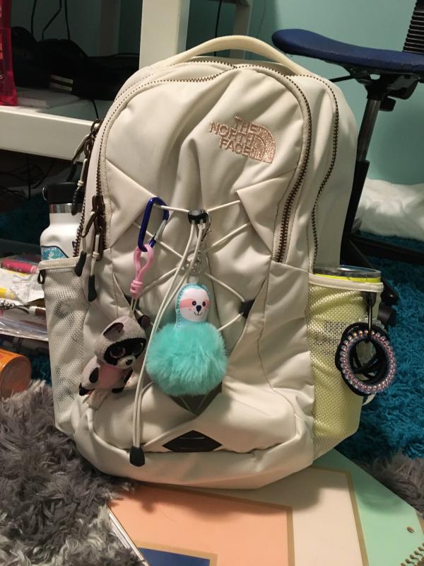 cream colored north face backpack