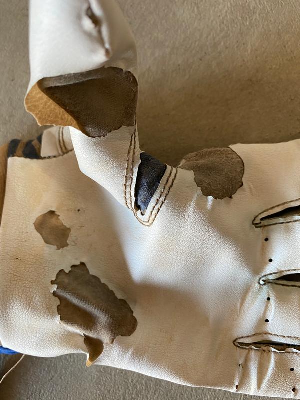 Photo submitted with review of product