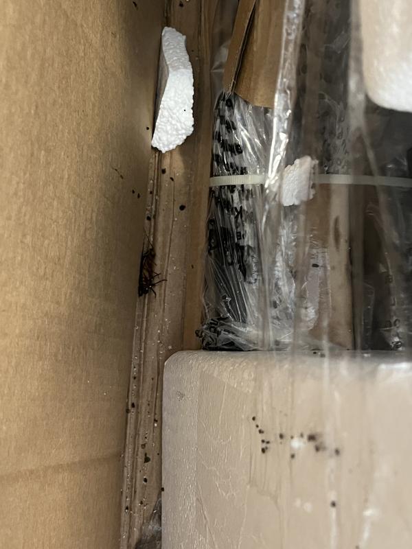 Photo submitted with review of product
