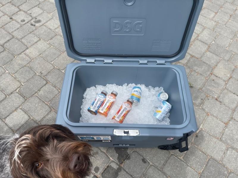 Photo submitted with review of product