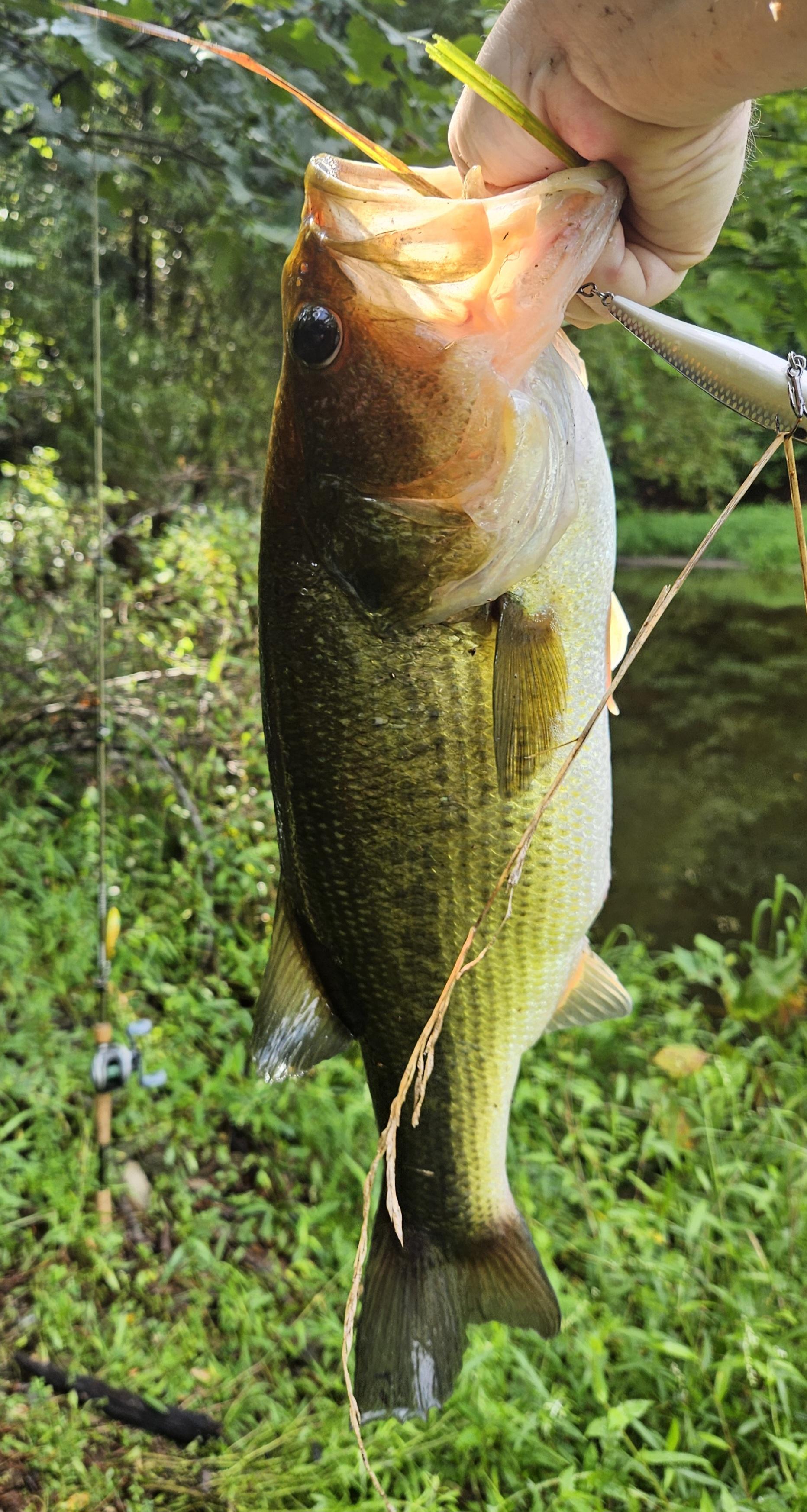 6wt saltwater fly reel 5/6wt main image 1