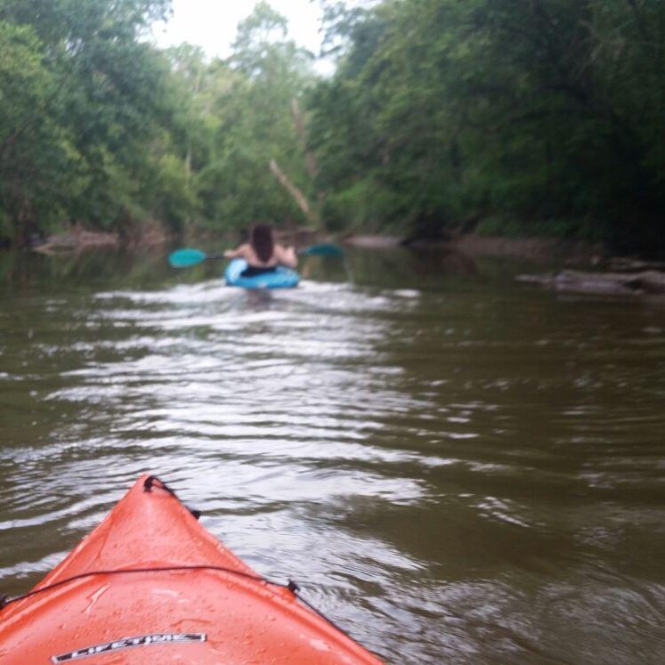 Field Stream Chute Kayak Paddle Curbside Pickup Available At Dick S