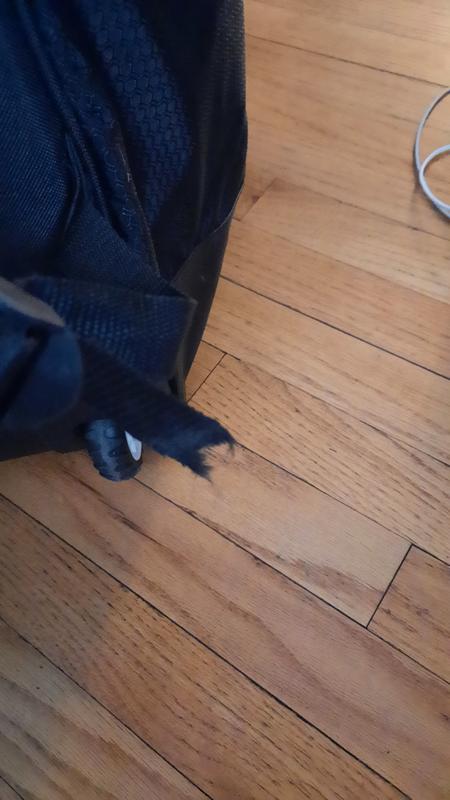Photo submitted with review of product