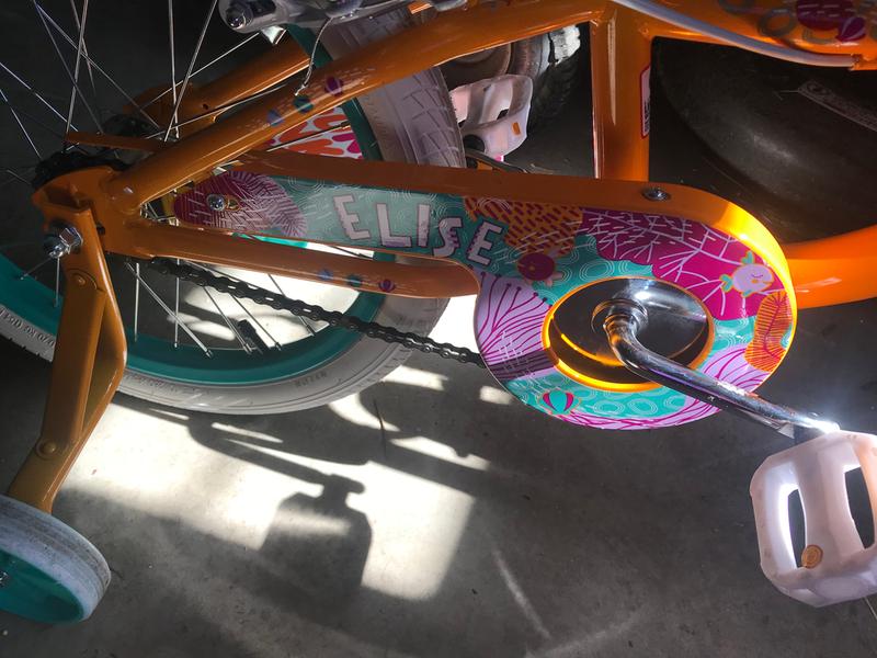 schwinn elise
