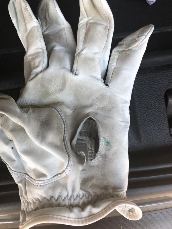 Photo submitted with review of product
