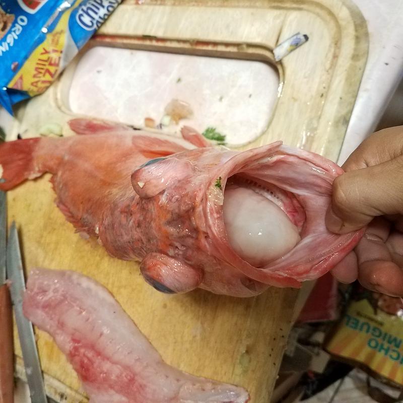 Photo submitted with review of product