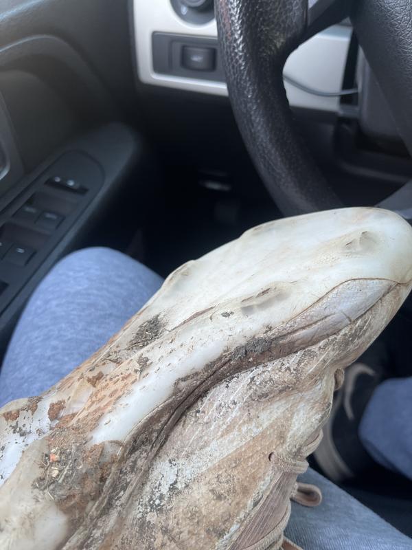 Photo submitted with review of product