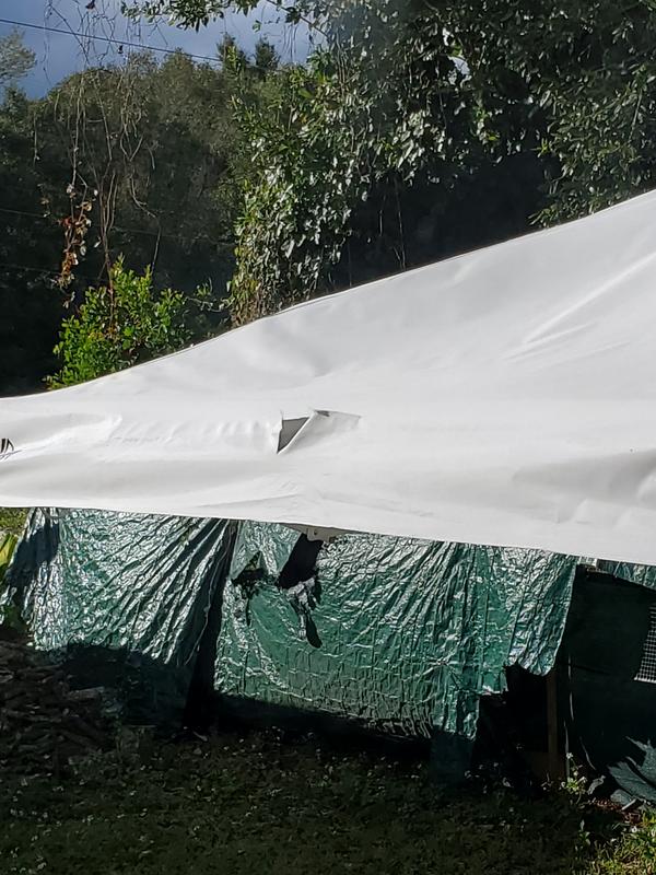 Photo submitted with review of product