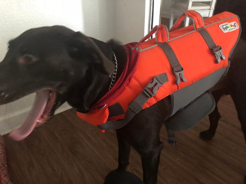 outward hound dog life vest