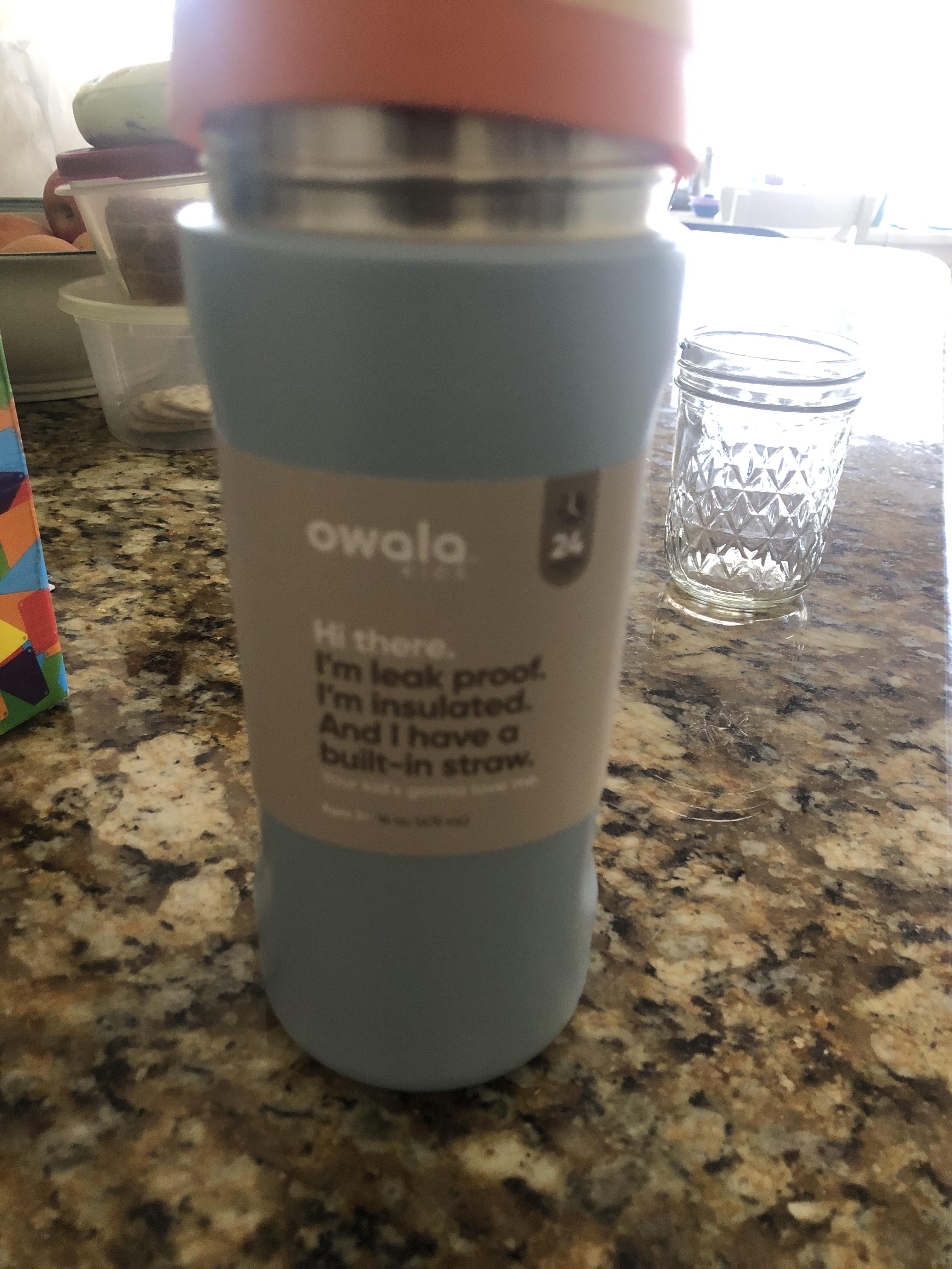 Owala Kids' 16 oz. FreeSip Stainless Steel Water Bottle | Dick's