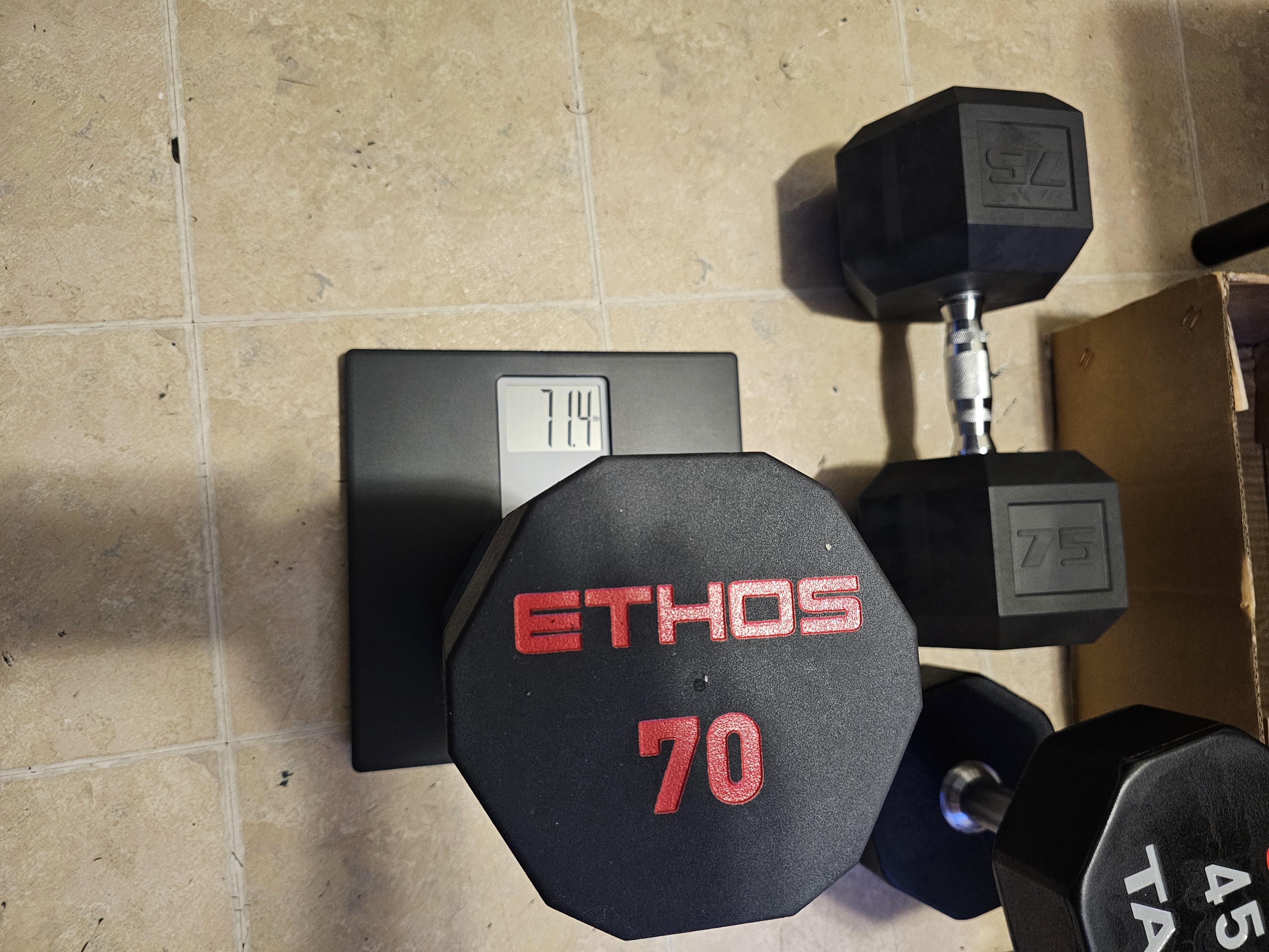 ETHOS Rubber Hex Dumbbell Free Curbside Pickup at DICK S