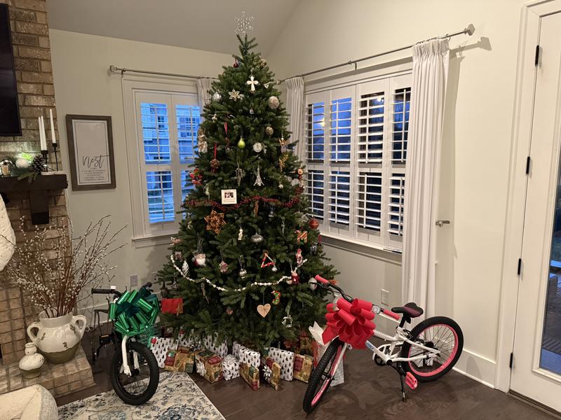 Photo submitted with review of product