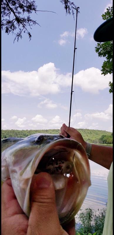 Photo submitted with review of product