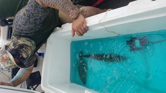 Photo submitted with review of product