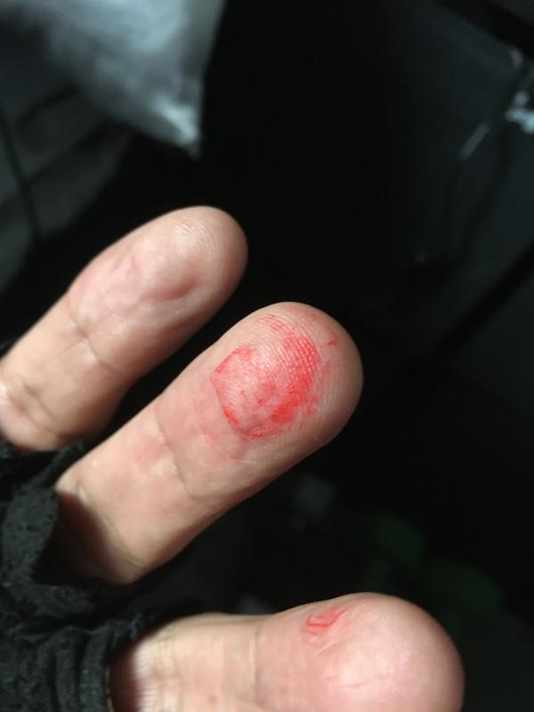 Photo submitted with review of product