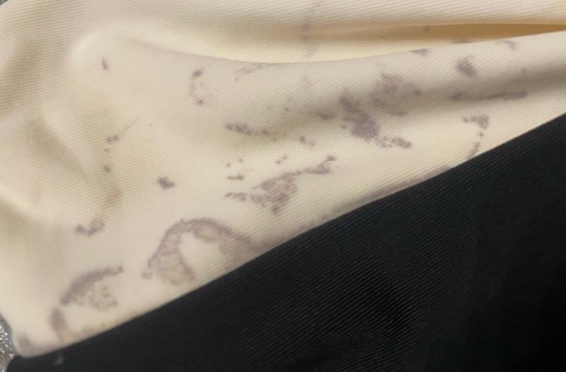 Photo submitted with review of product