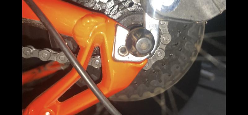 Photo submitted with review of product