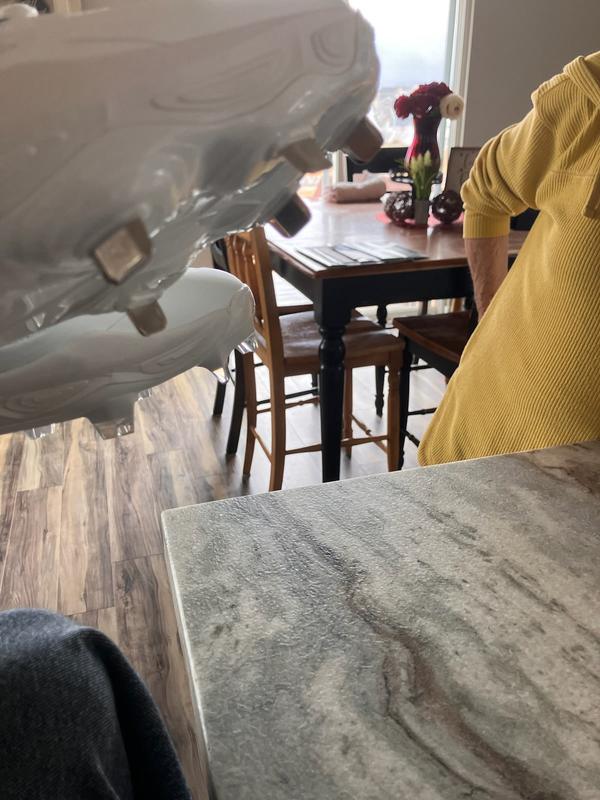 Photo submitted with review of product