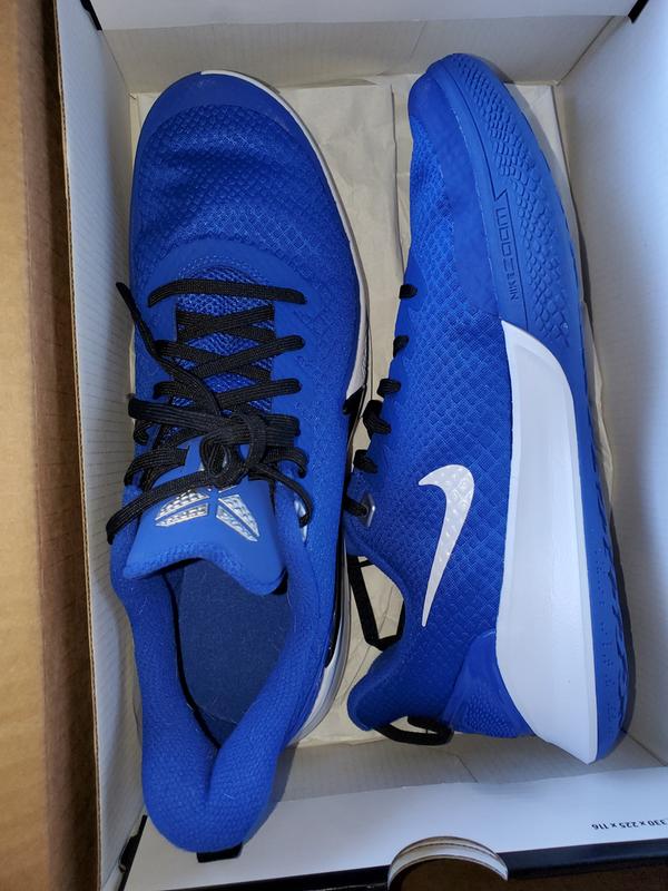 kobe mamba focus blue