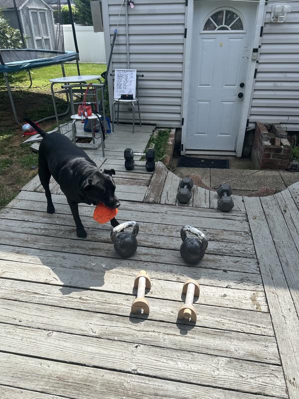 Photo submitted with review of product