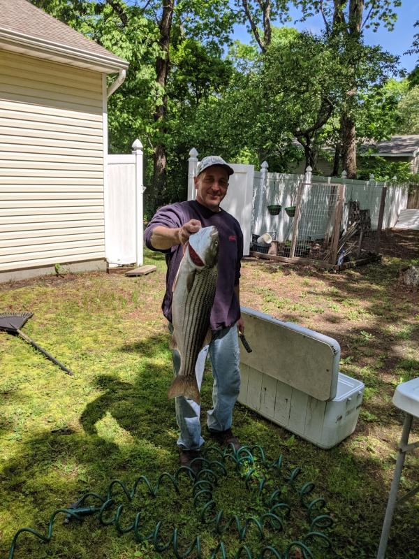 Photo submitted with review of product