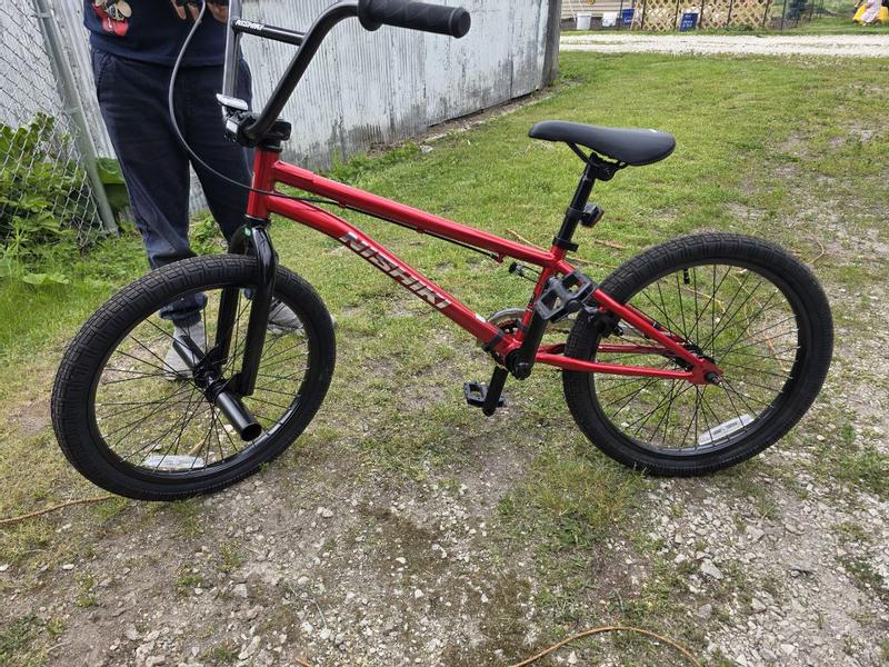 Nishiki Bonzai 20