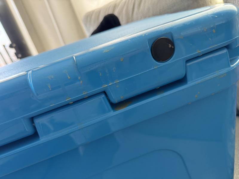 Photo submitted with review of product